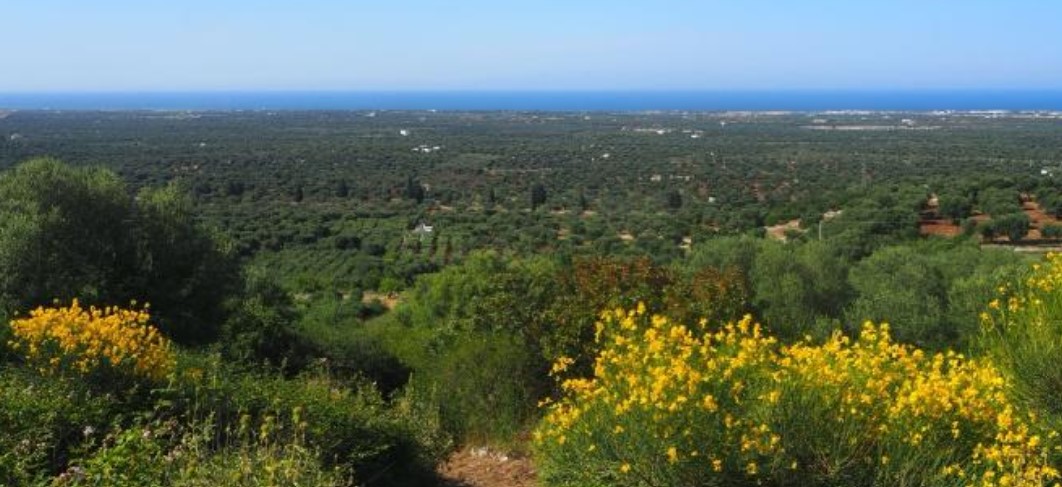Santa Maria di Agnano Archaeological Park 1