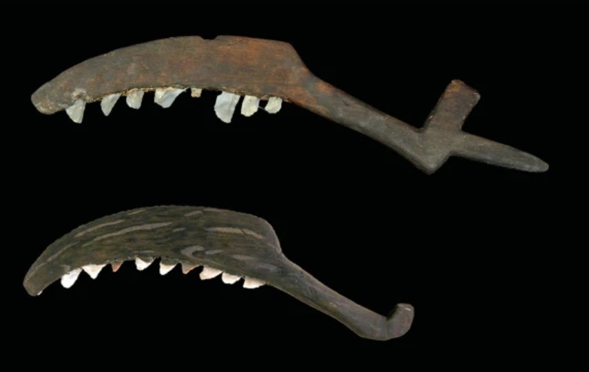 La Marmotta. Selection of Early Neolithic ‘sickles’ with wooden hafts and flint implements 