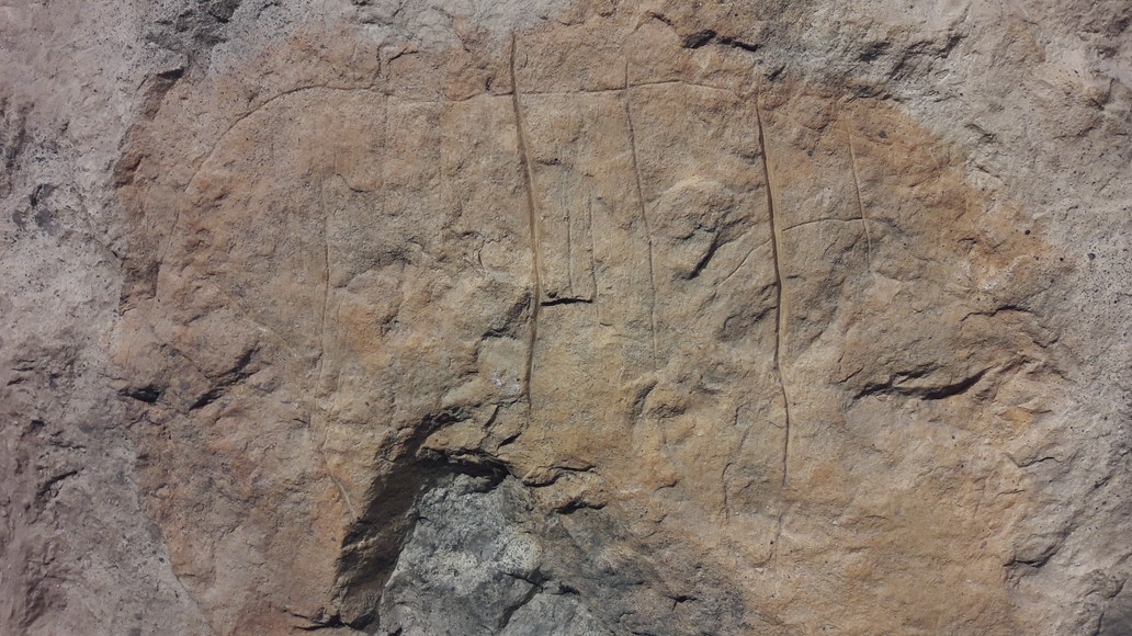 Rock engraving from the Paleolithic period, horse, Caviglione Cave