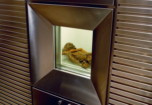 Refrigerated cell housing the mummy