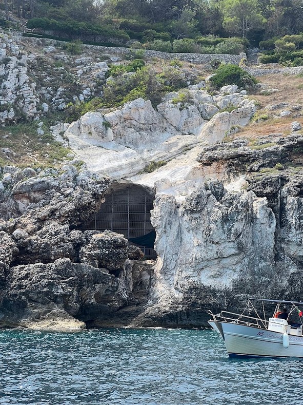 From mammoth to penguin: what can Romanelli cave's symbolic imagery tell us?