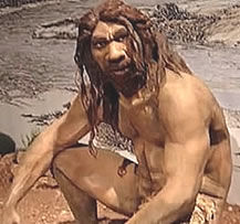 Who could be the last common ancestor between Neanderthals and our own species?