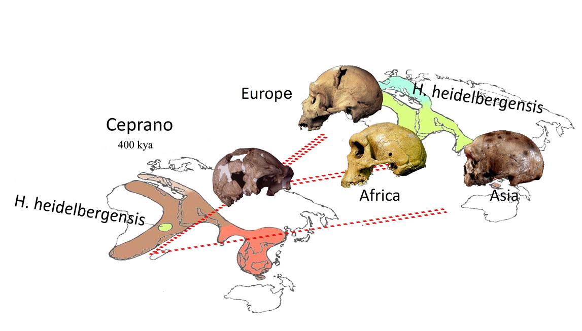 Map of human evolution