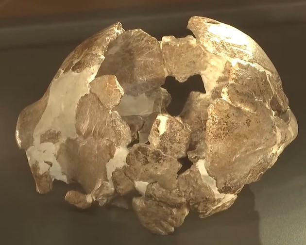 Prehistoric Museum of Pofi (Frosinone) 1