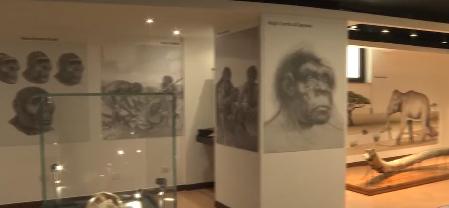 Prehistoric Museum of Pofi (Frosinone) 2