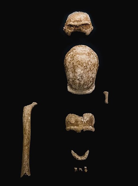 Finds from the 2019–2021 archaeological campaign.