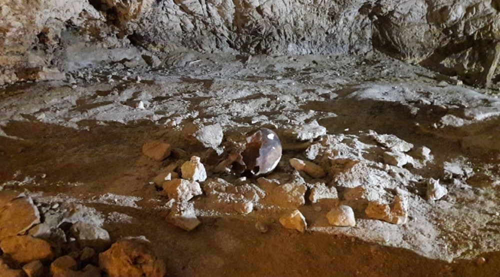 The skull placed at the center of a circle of stones.