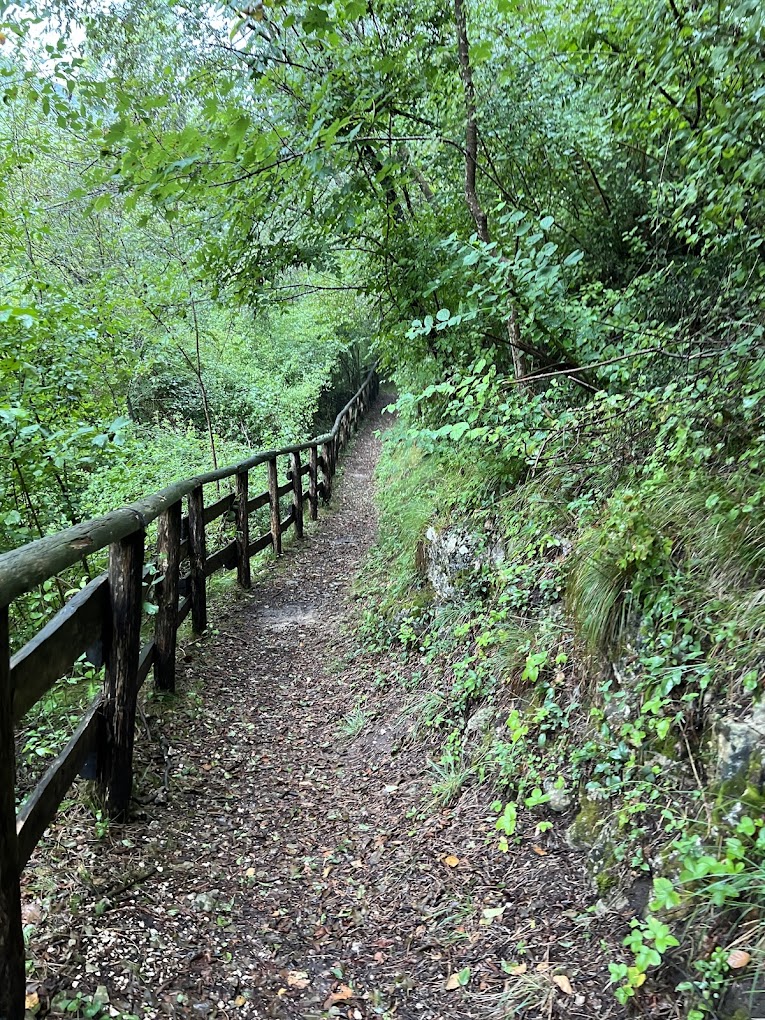 Fumane Cave 1