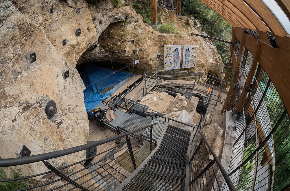Fumane Cave 3