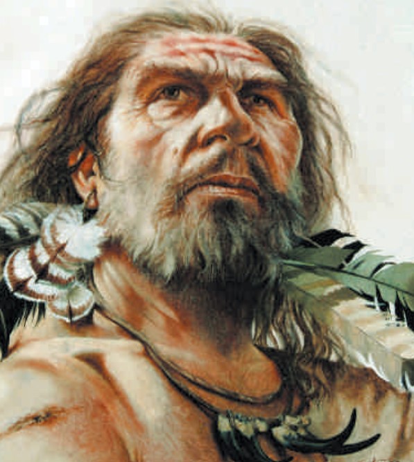 Neanderthal adorned with feathers. While leather clothing had already been in widespread use for a long time, the use of ornamental objects for the body and garments made its appearance in the last few thousand years preceding the arrival of Homo sapiens.
