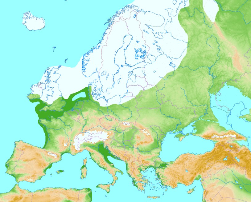  Europe during the glacial maximum in Weichselian and Würm cold periods (~ 20,000 ya) 