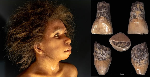 Where was the oldest human remain on the Italian Peninsula found?