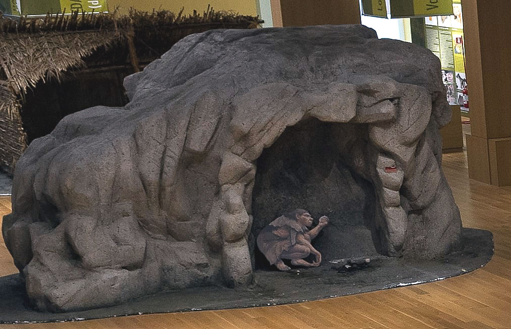 The archaeological site and museum La Pineta