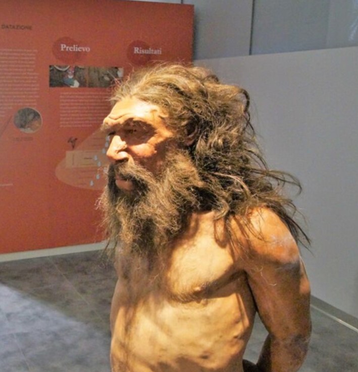 What Can the Altamura Man Reveal About Early Neanderthal Evolution?