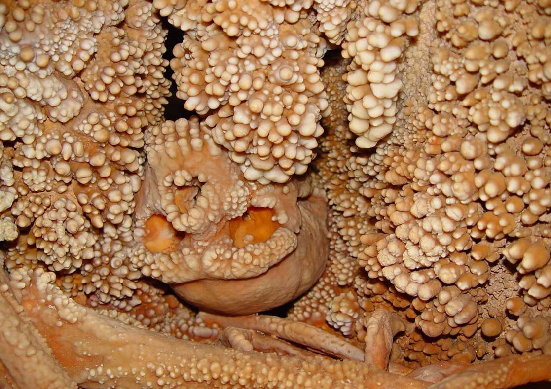 Neanderthal skeleton embedded within the stalactite curtain and covered by thick coralliform concretions.