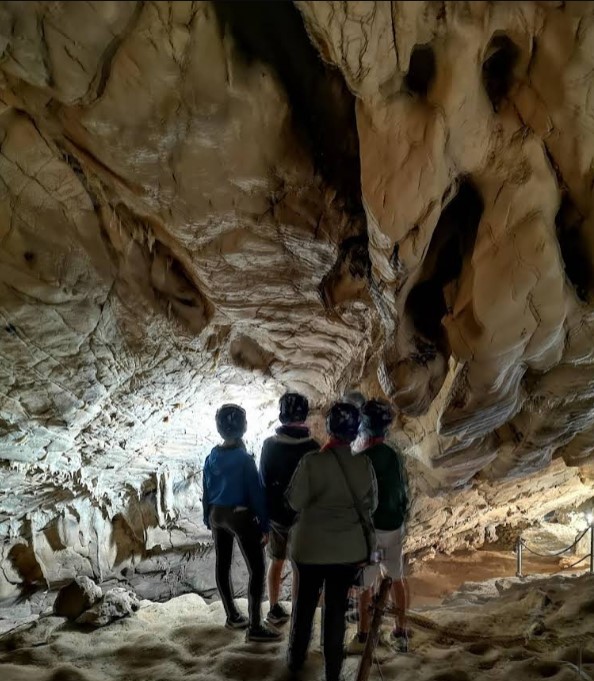 How did the changing insularity of Levanzo and Favignana—from Pleistocene mainland attachment to Holocene island status—correlate with the stylistic evolution from Paleolithic engravings to Neolithic paintings?