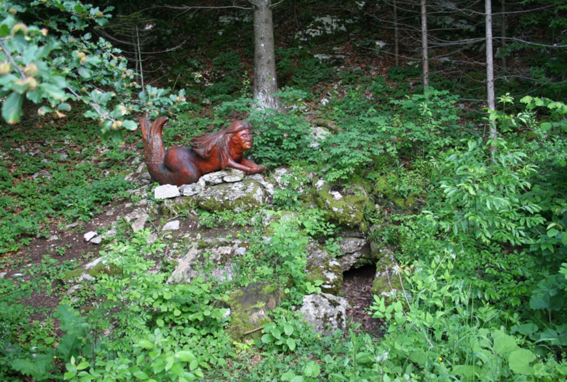 The Anguane