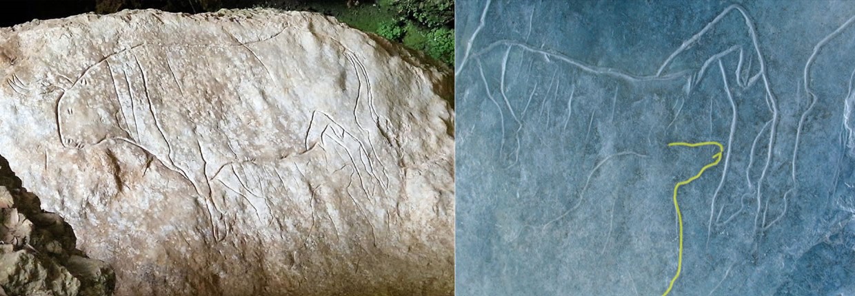 The large aurochs engraving