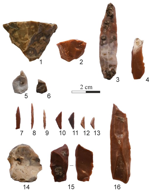 1-2) bladelet cores; 3-4) bladelet; 5-6) microburins; 7-9) backed points; 10-13) triangles; 14) scraper; 15) burin; 16) truncated piece.