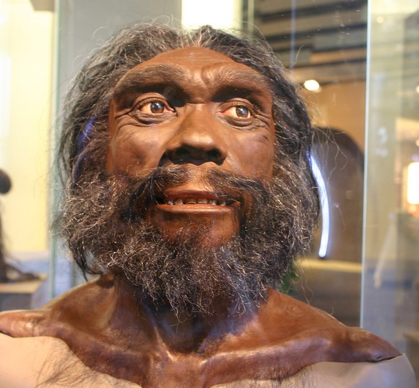 Who were the hominids that left their marks on the Roccamonfina volcano?
