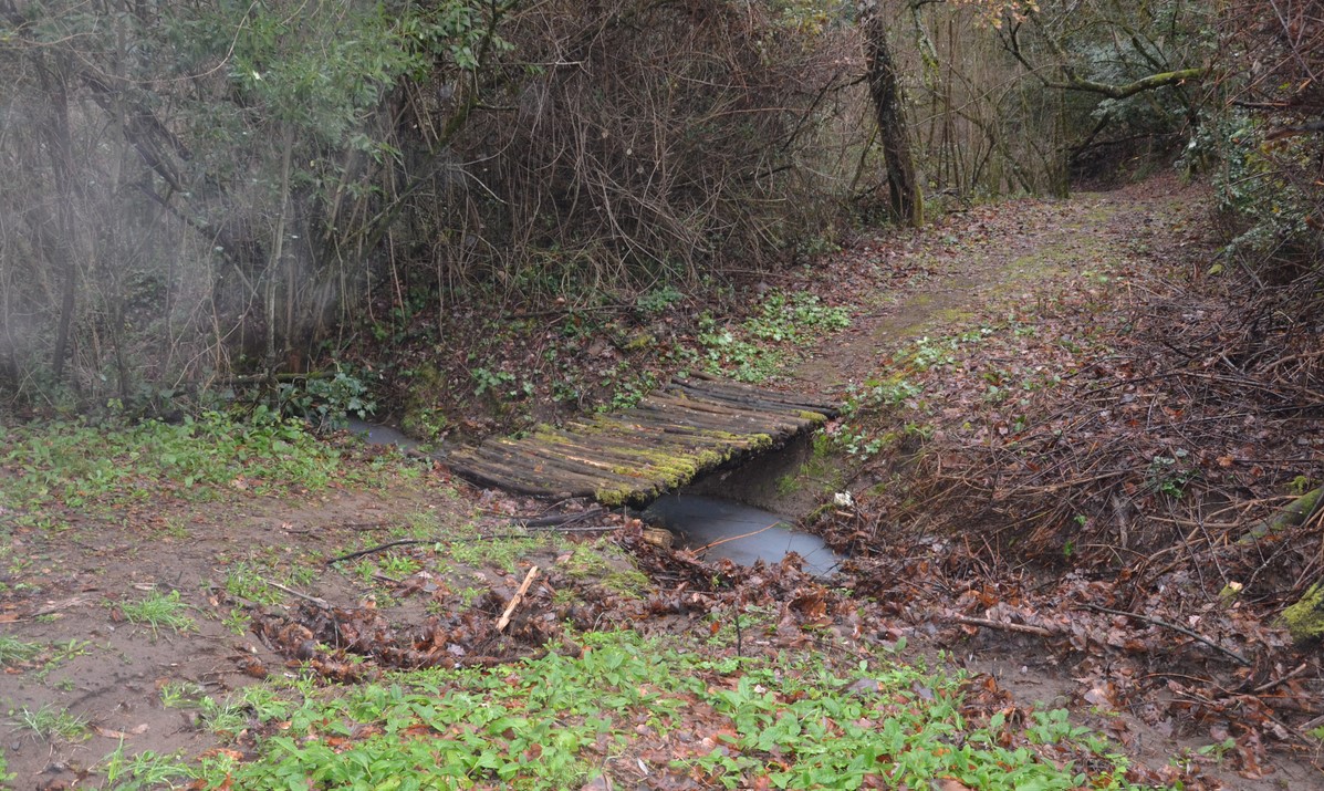 Devil's Footprints 1