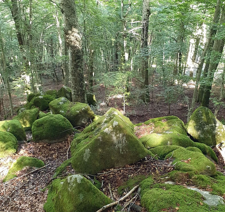 Mount Venus 2
